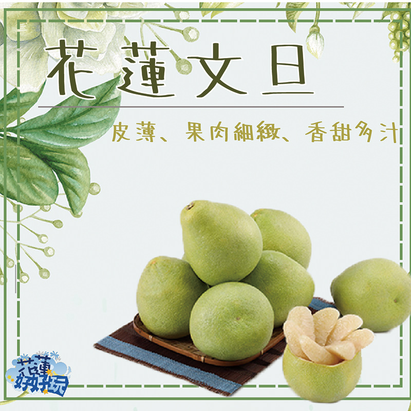 花蓮老欉鶴岡文旦【哇好柚】