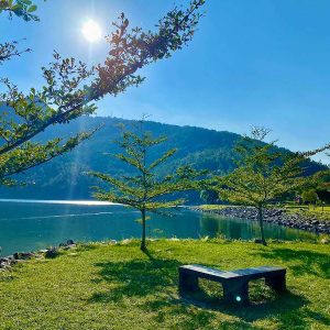 【2026春節限定】超優質-花東縱谷一日遊(鯉魚潭、林田山、瑞穗牧場)