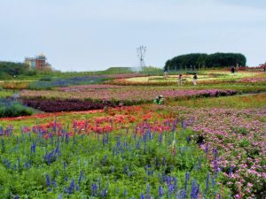 漫波園區帶你走入迷人的法國鄉村景緻