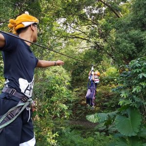 來當泰山！花蓮樹冠層叢林探險半日初階體驗A行程【野猴子】NT$1,000起