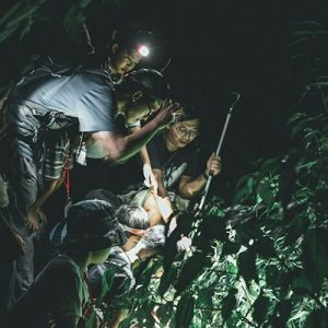 【台灣觀巴路線】超優質-花蓮鯉魚潭夜觀，鳳林漫遊、林田山、池南一日遊 NT$1600