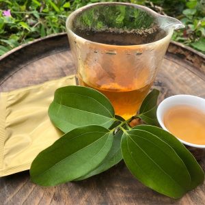 花蓮在地小農土肉桂茶包【雜草蟲聲農莊】