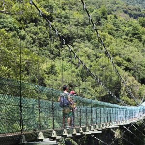 <森．湯の旅>黑熊步道~瓦拉米，百年溫泉一日遊 NT$1800